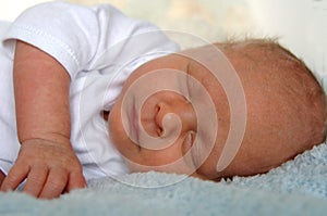 Sleeping newborn baby