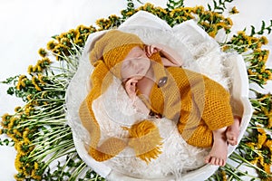 Sleeping newborn baby in a basket with yellow dandelion flowers lilac and green leaves, in a yellow dress, place for text, top vie
