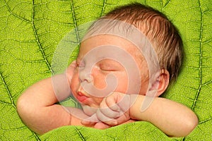 Sleeping Newborn Baby Boy