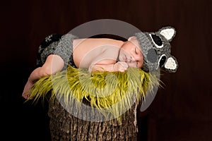 Sleeping Newborn Baby Boy Wearing a Raccoon Costume