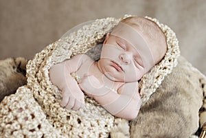 Sleeping Newborn Baby in Cocoon