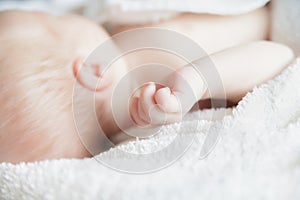 Sleeping newborn baby covered with white blanket