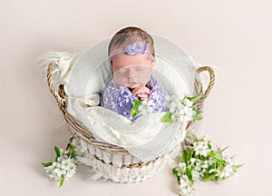 Sleeping newborn baby girl swaddled in a soft lilac blanket