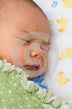 Sleeping newborn face