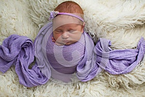 Sleeping, nine day old newborn baby girl swaddled in a purple wrap. Shot in the studio on purple material