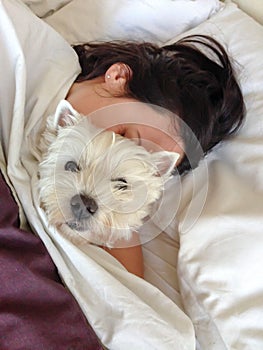 Sleeping with pets: woman cuddling west highland terrier westie photo