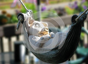 Sleeping Pig in a Hammock