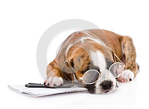 Sleeping puppy with pen and notebook. isolated on white