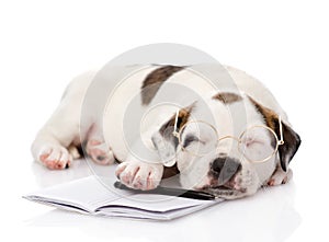 sleeping puppy with pen and notebook. isolated on white background