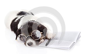 Sleeping puppy with pen and notebook. on white