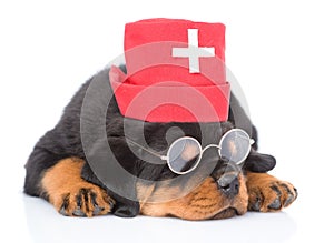 Sleeping rottweiler puppy dog wearing nurses medical hat. isolated