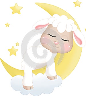 Sleeping Sheep photo