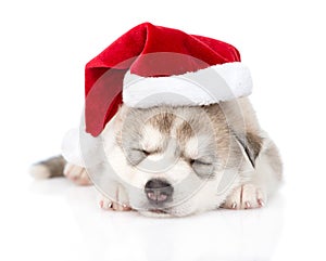 Sleeping Siberian Husky puppy with santa hat. isolated on white