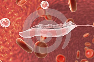 Sleeping sickness parasites