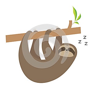 Sleeping sloth hanging on tree branch. Cute cartoon kawaii baby character. Wild jungle animal collection icon. Kids education.