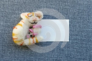 Sleeping, smiling cat