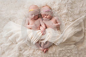 Sleeping Twin Baby Girls