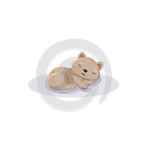 sleeping wombat cartoon curled up. Flat vector illustration isolated
