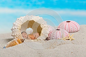 Sleepy baby in sea urchin