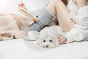 Sleepy sad calm small white dog with girl on the bed