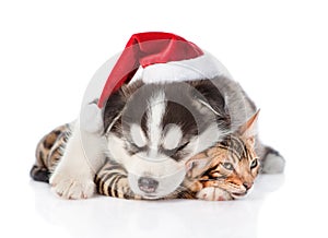 Sleepy siberian Husky puppy in santa hat hugging a bengal cat. isolated on white background