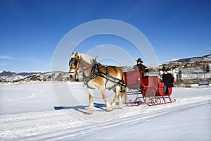 Sleigh ride. photo