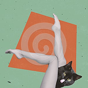 Slender female legs and black cat  on green orange background. Contemporary art collage, modern design