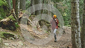 Slender girl goes along the path to the top in the coniferous forest. Tourism in the Caucasus Reserve. Will approach the