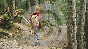 Slender girl goes down the path in the coniferous forest. Tourism in the Caucasus Reserve. Will approach the camera