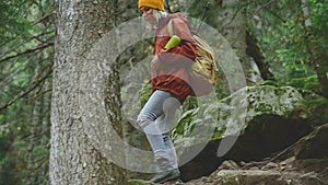 Slender girl goes down the path in the coniferous forest. Tourism in the Caucasus Reserve. Will approach the camera