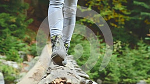 Slender girl walking along a log through a mountain river in the forest. Tourism in the Caucasus Reserve. Goes towards