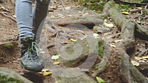 Slender girl walking along the path in the coniferous forest. Tourism in the Caucasus Reserve. Closeup of a tourist`s