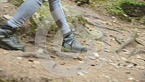 Slender girl walking along the path in the coniferous forest. Tourism in the Caucasus Reserve. Closeup of a tourist`s