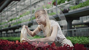 Slender young Caucasian woman pouring water on plants in glasshouse. Portrait of charming blond female agronomist taking