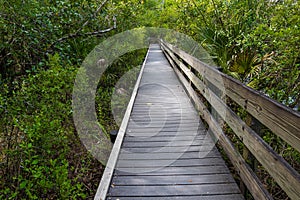 The Slew Walkway Beside Gator Lake, Six Mile Cypress Slough