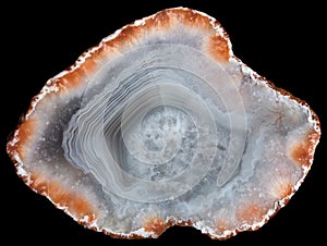 Slice of agate geode with red zeolites on the periphery photo