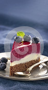 Slice of blueberry cheesecake2