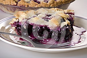 A Slice of Blueberry Pie