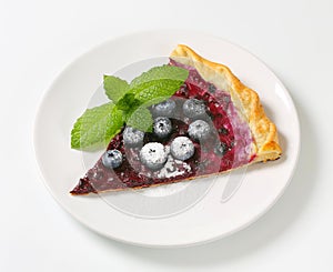 Slice of blueberry tart