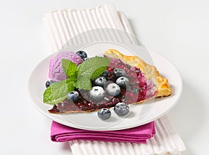 Slice of blueberry tart with ice cream