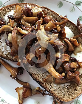 Slice of bread with chanterelle