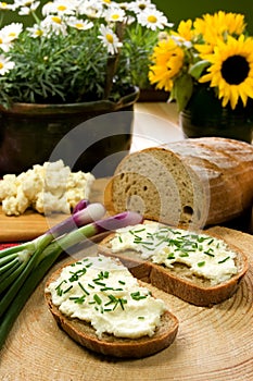Slice of bread spread with sheep cheese