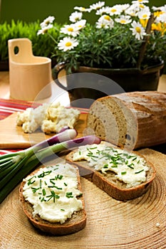 Slice of bread spread with sheep cheese