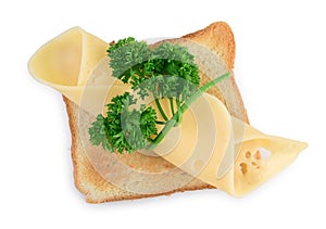 Slice of cheese bandaged by twig of green parsley on a toast, isolated on white background, top view