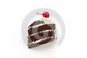 A slice of chocolate cake on a white plate.