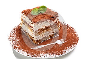 Slice of Delicious Italian Tiramisu Dessert