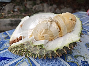 A slice of Durio zibethinus or durian.