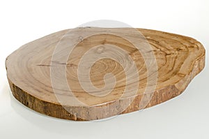 Slice elm tree, cross section