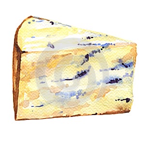 Slice of french musty cheese photo