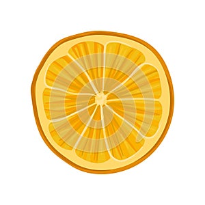 Slice of fresh or dry orange. Citrus fruit. Ingredient for mulled wine. Flat vector element for menu, recipe book or